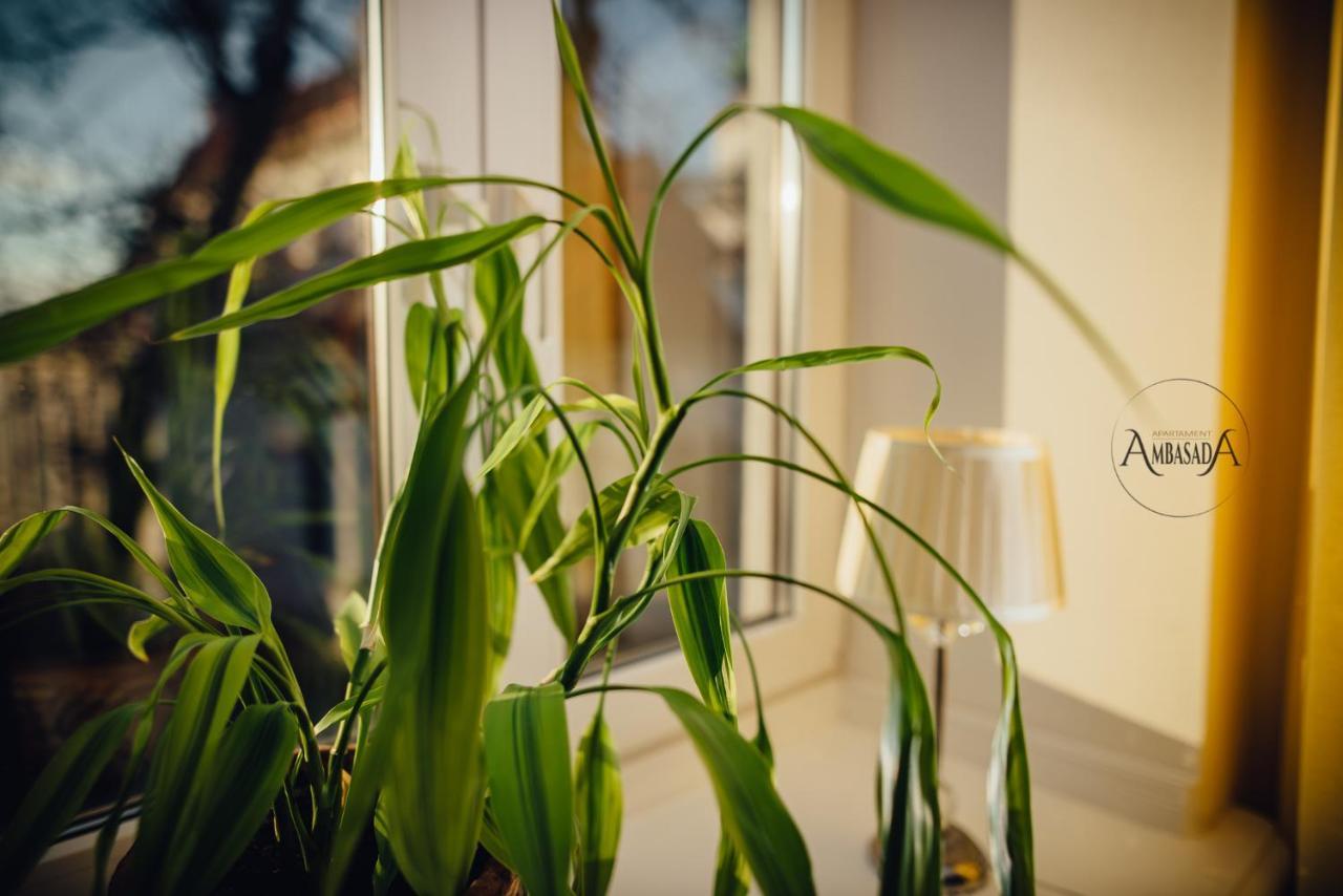Apartament Ambasada Zamość Dış mekan fotoğraf
