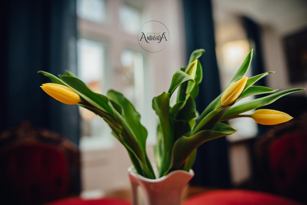 Apartament Ambasada Zamość Dış mekan fotoğraf